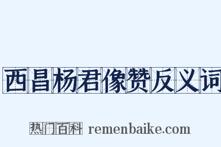 西昌杨君像赞反义词是什么意思的图片
